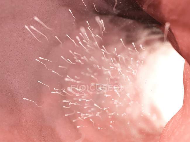Sperm cells, abstract digital illustration. — Stock Photo