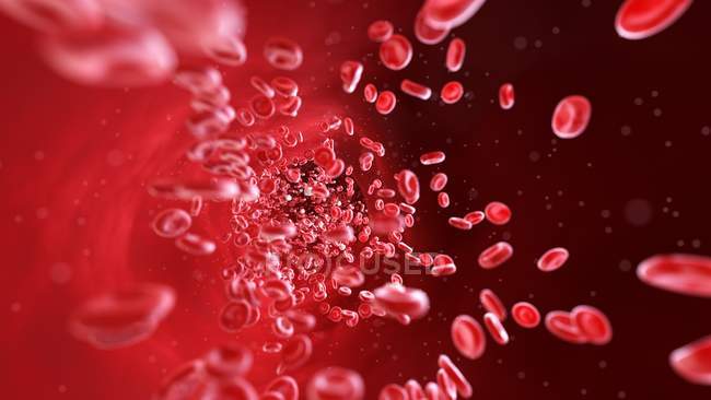 Eritrociti e leucociti cellule del sangue nei vasi sanguigni umani, illustrazione digitale . — Foto stock