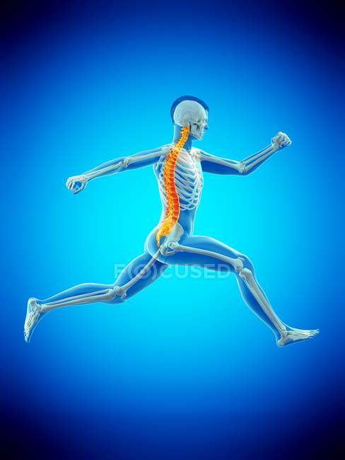 Боковий вид чоловічого бігуна тіла з болем у дії, Концептуальна ілюстрація. — стокове фото