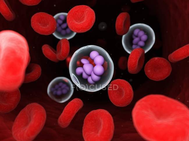 Megakaryocyte dans le sang humain, illustration par ordinateur . — Photo de stock