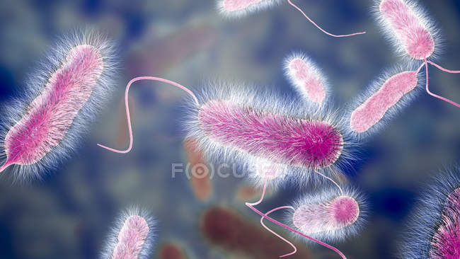 Ilustración digital de la bacteria Legionella pneumophila, causa de la enfermedad de Legionnaires . - foto de stock