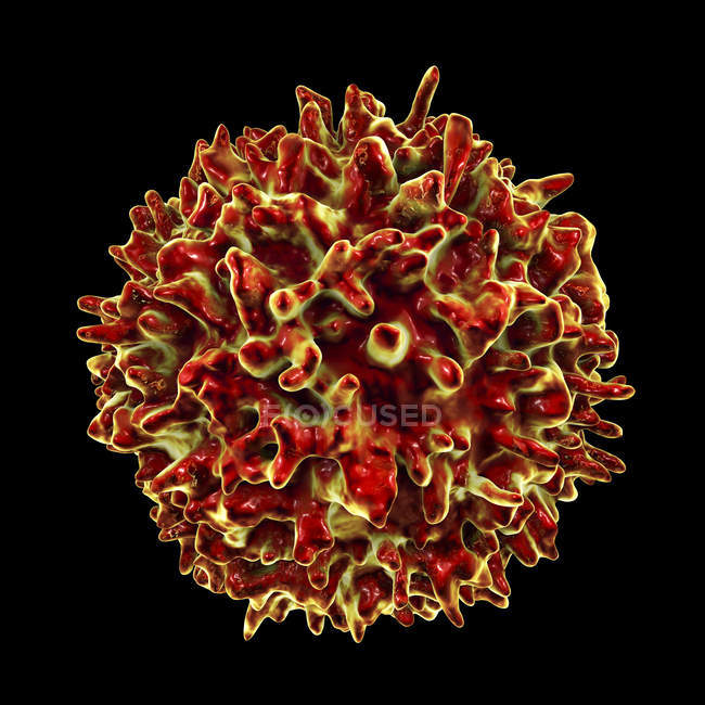 Linfociti globuli bianchi nel sistema linfatico umano, illustrazione digitale . — Foto stock