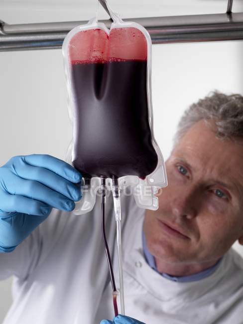 Reifer männlicher Arzt verarbeitet Spenderblut in Säcken. — Stockfoto