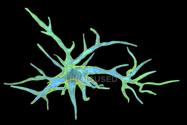 Cellula nervosa gliale astrocitaria, illustrazione digitale . — Foto stock