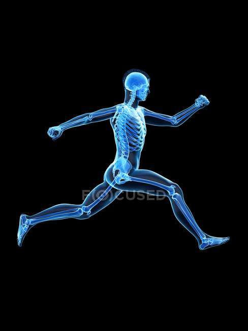 Silueta de hombre corriendo con esqueleto visible, ilustración digital . - foto de stock