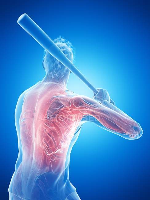 Músculos masculinos del jugador de béisbol mientras sostiene el bate, ilustración del ordenador . - foto de stock