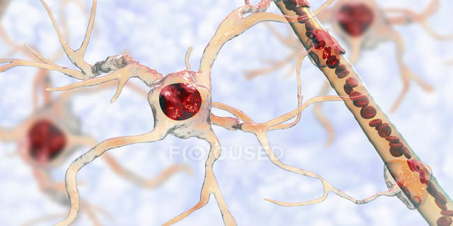 Astrocyte brain glial cell connecting neuronal cells to blood vessel, digital illustration. — Stock Photo