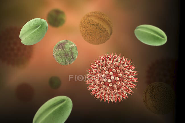 Grains de pollen provenant de différentes plantes, illustration informatique — Photo de stock