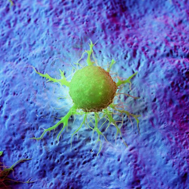 Abstrakte grüne Krebszelle auf Gewebe, digitale Illustration. — Stockfoto