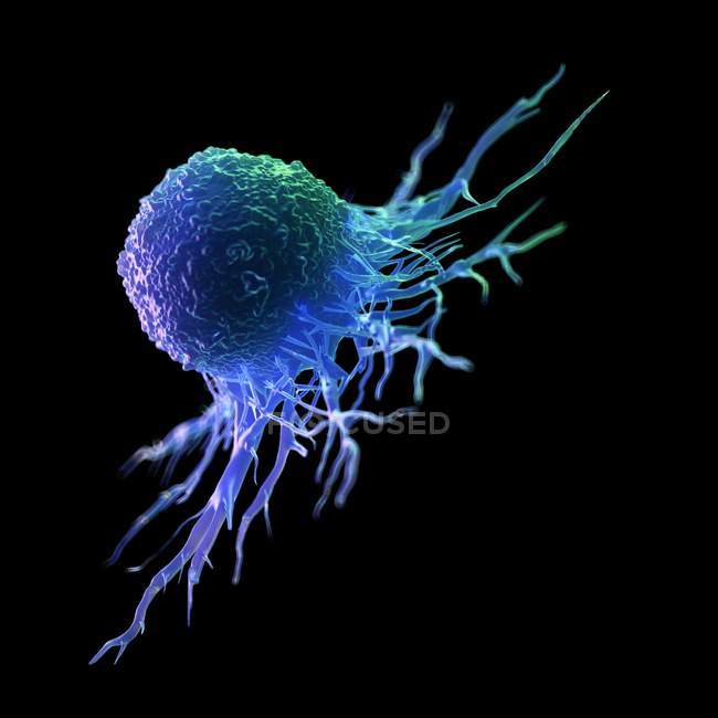 Абстрактна ракова клітина синього кольору на чорному тлі, цифрова ілюстрація . — стокове фото