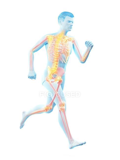 Orange colored skeleton of male runner in action, digital illustration. — Stock Photo