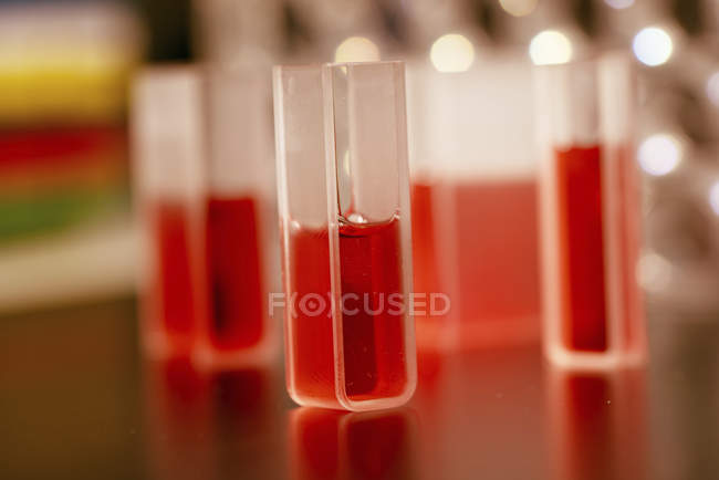 Échantillons liquides dans des cuvettes de quartz
. — Photo de stock