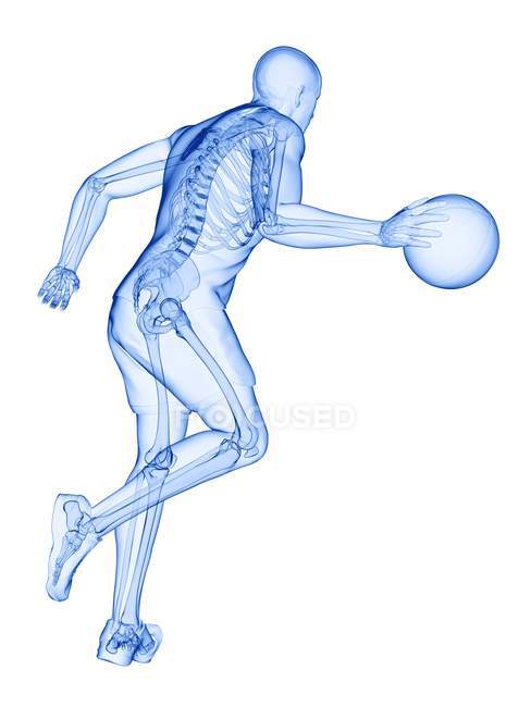 Скелет баскетболиста в действии, компьютерная иллюстрация . — стоковое фото