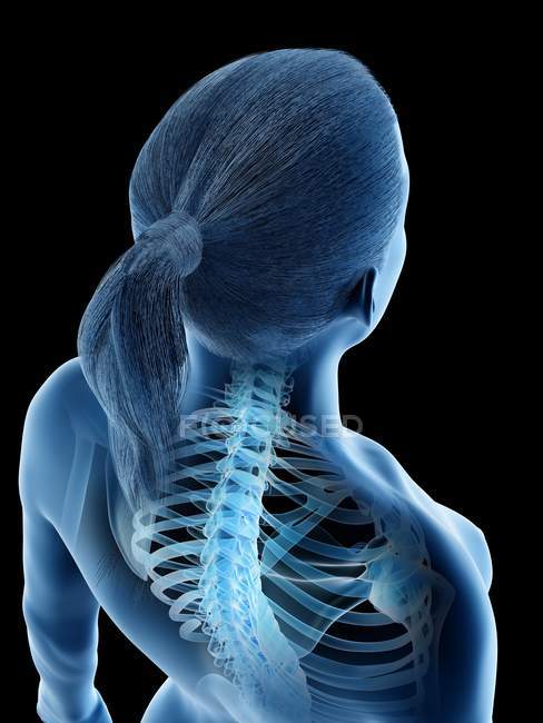 Anatomia della schiena femminile e scheletro, illustrazione al computer . — Foto stock