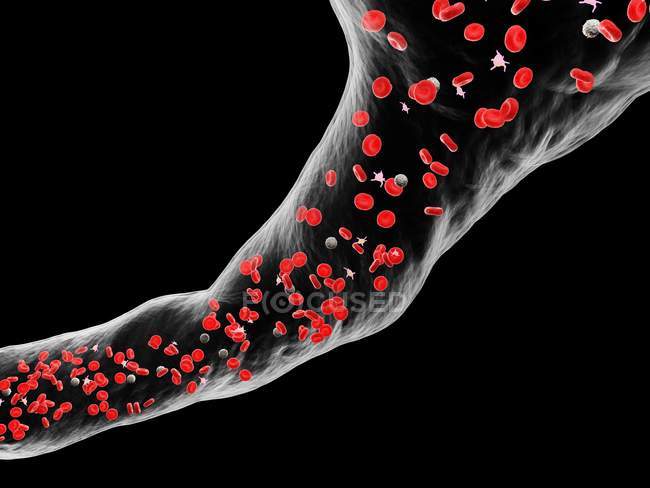 Vaso sanguigno astratto con globuli bianchi e rossi, illustrazione digitale . — Foto stock