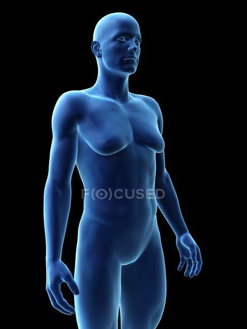 Man with gynecomastia disorder, digital illustration. — Stock Photo