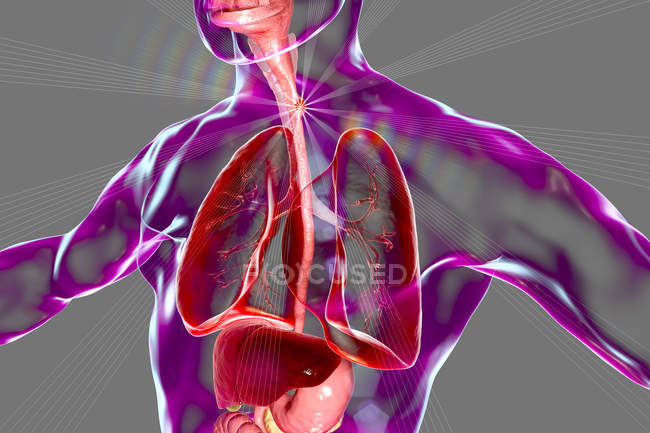 Cancer de l'œsophage dans le corps masculin, illustration numérique abstraite . — Photo de stock