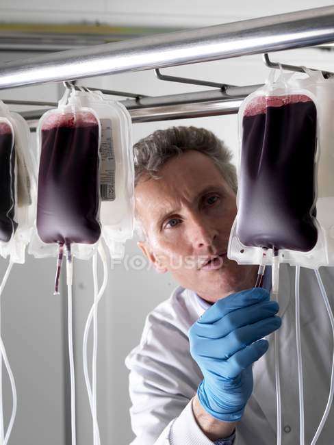 Зрелый мужчина врач обрабатывает донорскую кровь в мешках
. — стоковое фото
