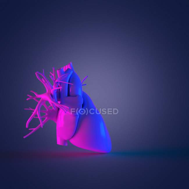 Modelo de corazón humano colorido sobre fondo oscuro, ilustración por computadora
. - foto de stock