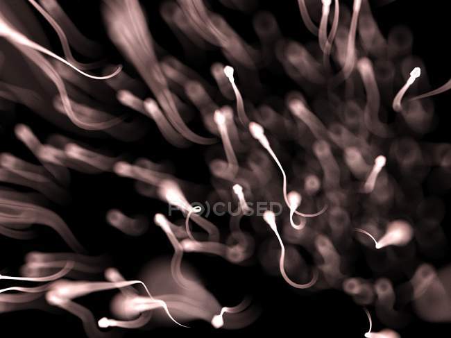Células espermáticas, ilustración digital abstracta . - foto de stock