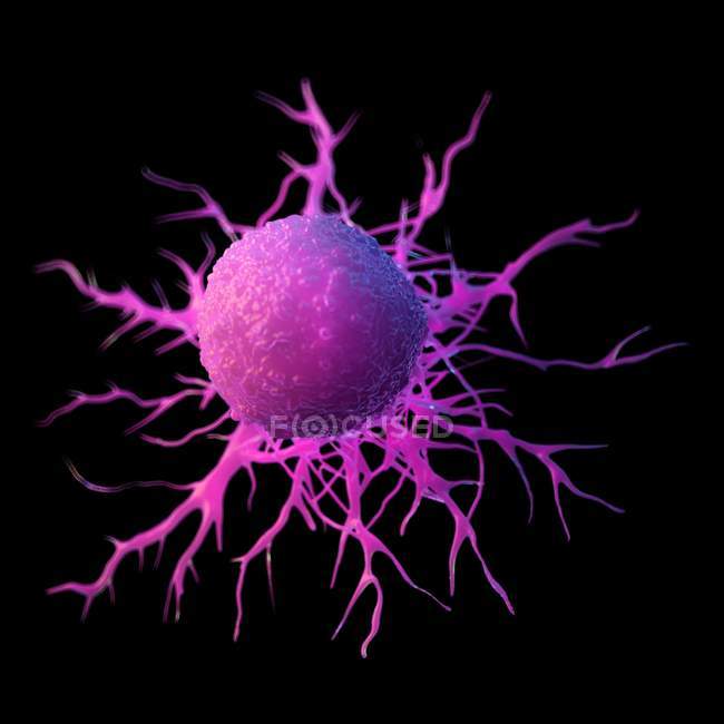 Абстрактный розовый цвет раковых клеток на черном фоне, цифровая иллюстрация
. — стоковое фото