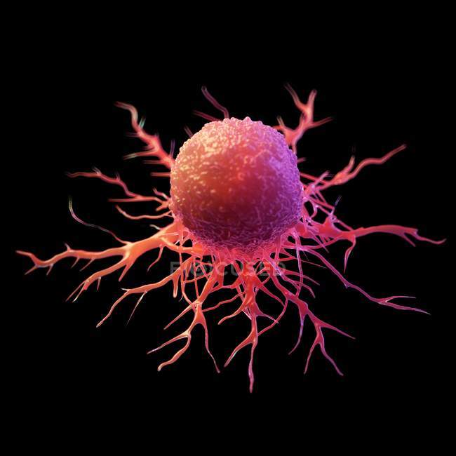 Абстрактна ракова клітина червоного кольору на чорному тлі, цифрова ілюстрація . — стокове фото