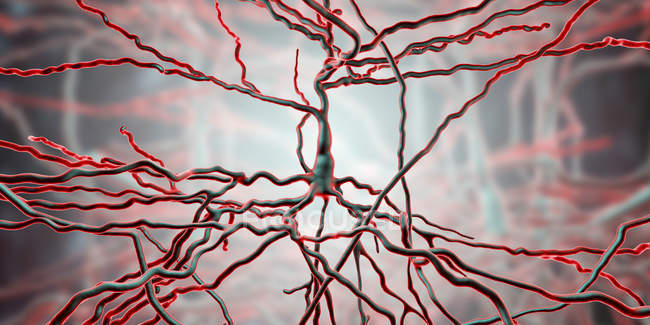 Цифрова ілюстрація пірамідальних нервових клітин з кори головного мозку. — стокове фото