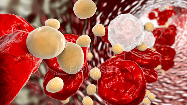 Digital illustration of balls of cholesterol lipids in blood vessel. — Stock Photo