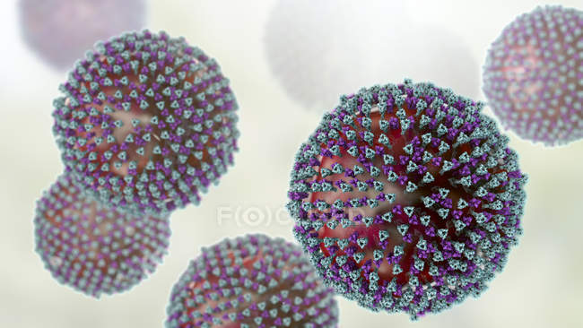 Partículas del virus del sarampión, ilustración digital
. - foto de stock