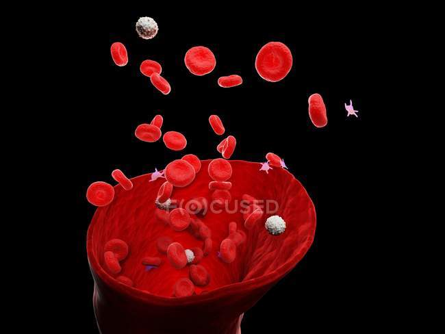 Абстрактні кровоносні судини з білими і червоними кров'яними клітинами, цифрова ілюстрація. — стокове фото