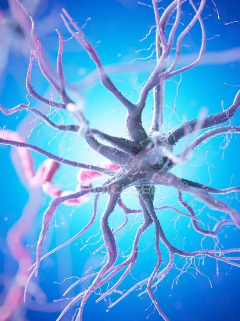 Нервова клітина з рожевим аксоном на синьому фоні, цифрове зображення. — стокове фото