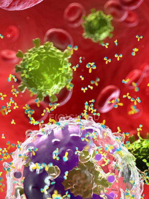 Anticuerpos atacando partículas de virus, ilustración por computadora
. - foto de stock
