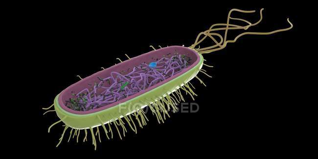 Самотня абстрактна бактерія на чорному тлі, комп'ютерна ілюстрація.. — стокове фото