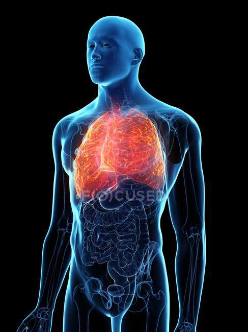 Pulmones enfermos en cuerpo masculino transparente sobre fondo negro, ilustración por computadora . - foto de stock