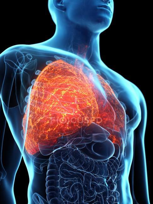Хворобливі легені в прозорому чоловічому тілі на чорному тлі.. — стокове фото
