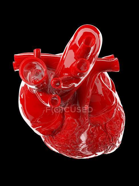 Coração humano vermelho sobre fundo preto, ilustração de computador . — Fotografia de Stock