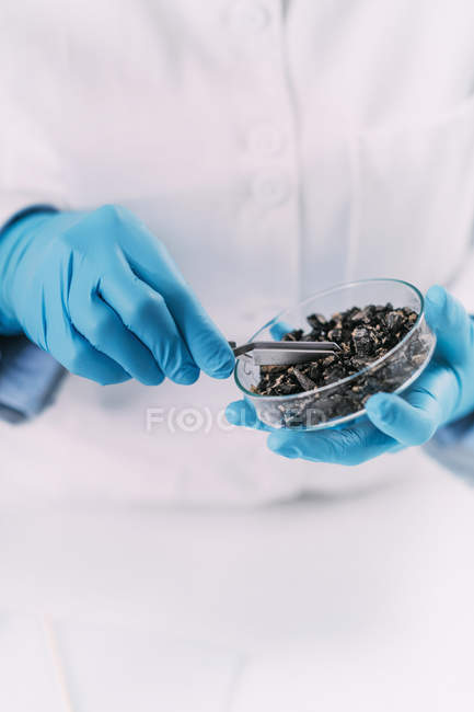 Hands of archaeologist analyzing charred wood in petri dish. — Stock Photo