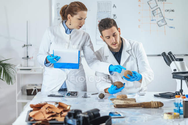 Archaeologists analyzing ancient artifacts in anthropology laboratory. — Stock Photo