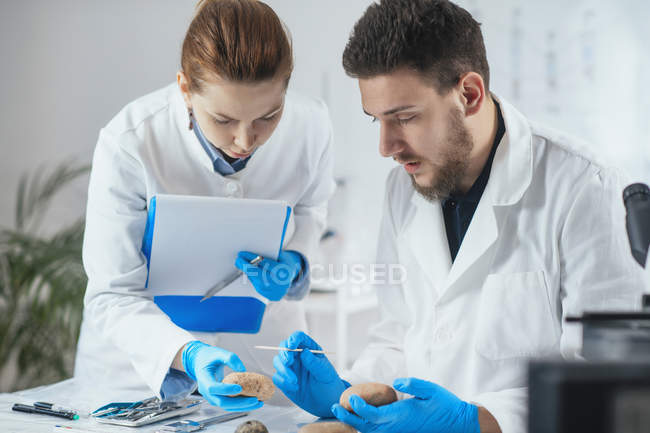 Archaeologists analyzing ancient artifacts in laboratory. — Stock Photo