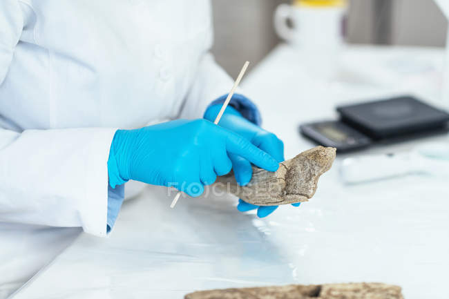 Chercheur en archéologie en laboratoire analysant un ancien outil à bois . — Photo de stock