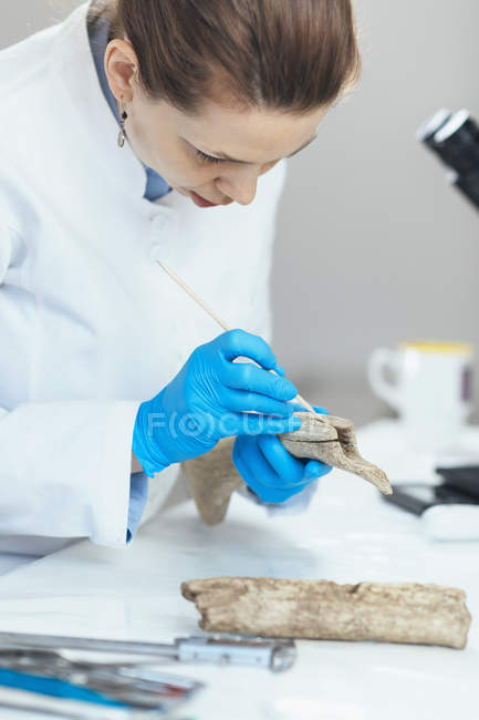 Молодая женщина-исследователь археологии в лаборатории, анализирующая древние рога
. — стоковое фото