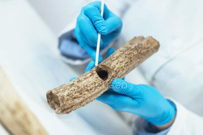 Investigador arqueológico en laboratorio reconstruyendo herramienta antigua . - foto de stock