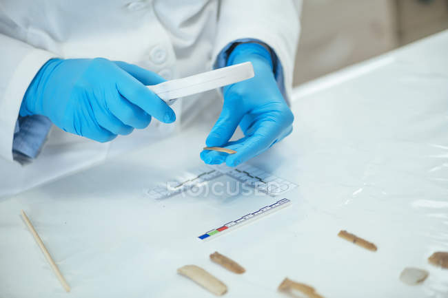 Archaeology researcher performing lithics analysis with magnifying glass and measuring artifacts with straightedge tool. — Stock Photo