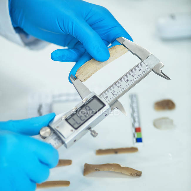Archeologo che misura litica con pinza in laboratorio . — Foto stock