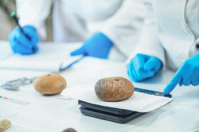 Archaeologists measuring ancient loom weights on digital scale in laboratory. — Stock Photo