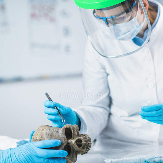 Bioarchéologie femmes scientifiques analysant le crâne humain dans un ancien laboratoire d'ADN . — Photo de stock