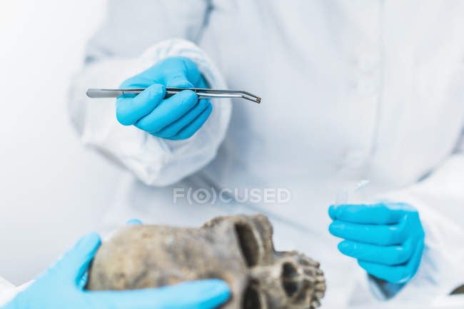 Archäologen analysieren menschlichen Schädel im dna-Archäologielabor. — Stockfoto