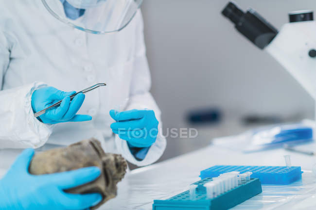Bioarchäologen analysieren menschlichen Schädel im dna-Archäologielabor. — Stockfoto