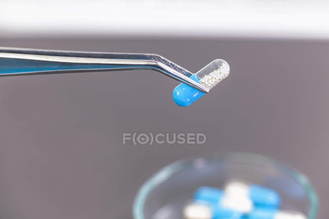 Close-up of two-colored medicine capsule in tweezers, pharmaceutical research. — Stock Photo
