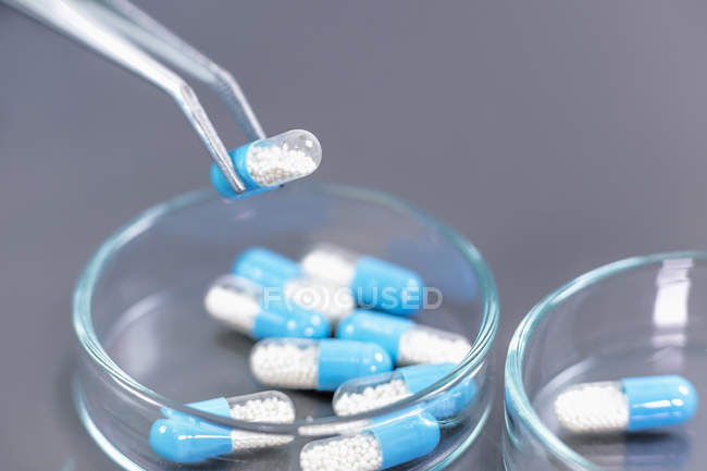 Gros plan sur une capsule de médecine bicolore dans une pince à épiler, recherche pharmaceutique . — Photo de stock